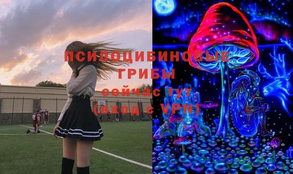 ГАЛЛЮЦИНОГЕННЫЕ ГРИБЫ Зерноград