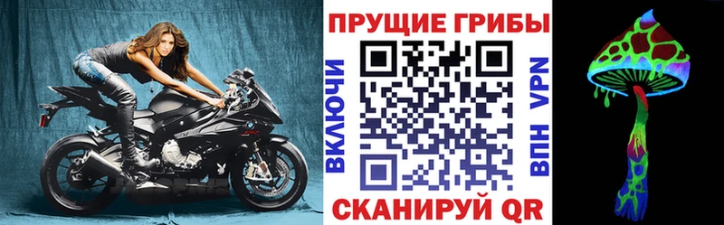 Купить  Дно  Галлюциногенные грибы ЛСД 